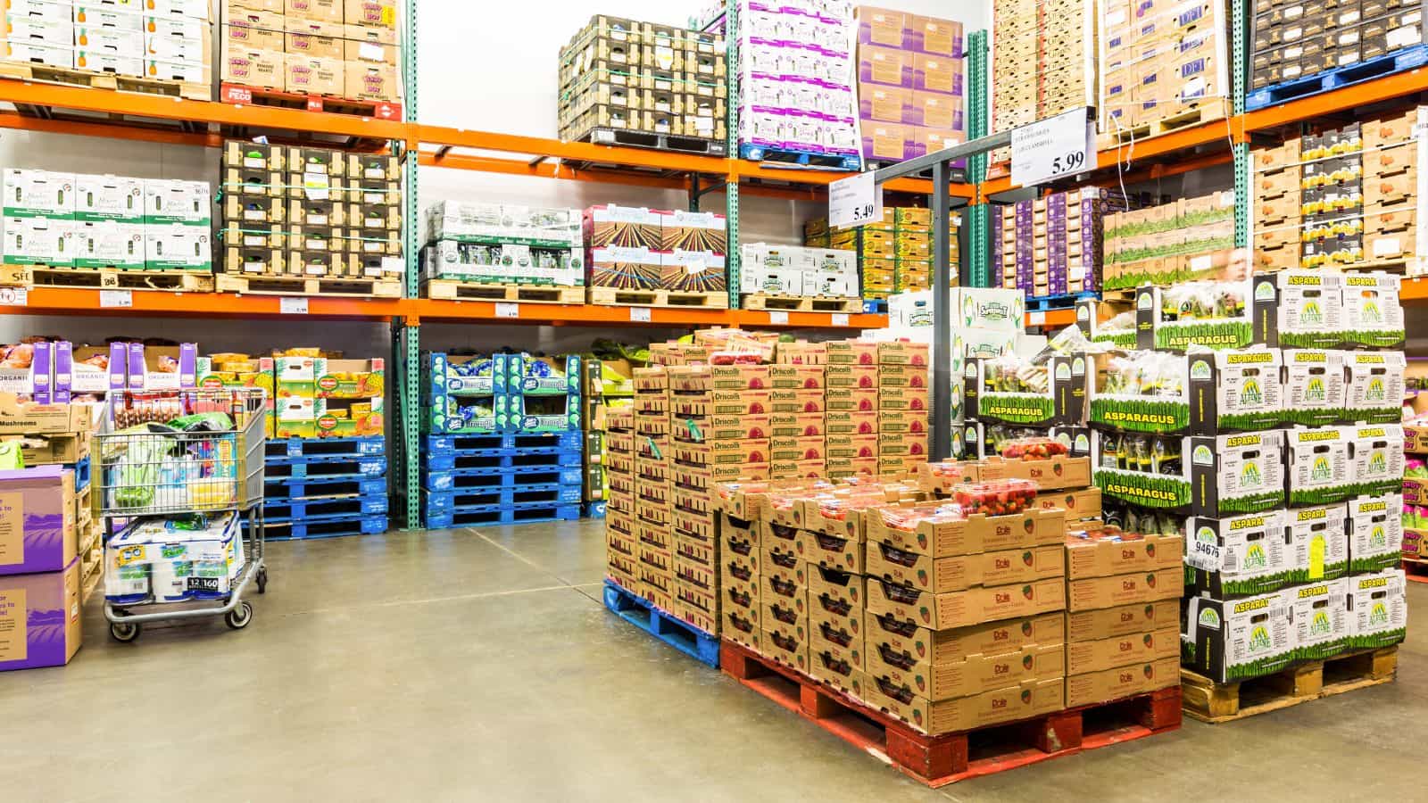 Wholesale & Industrial Distribution
